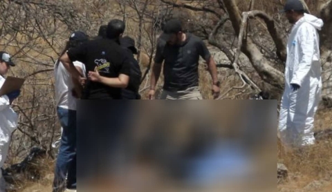 Dejan un cadáver desmembrado en Mazatepec