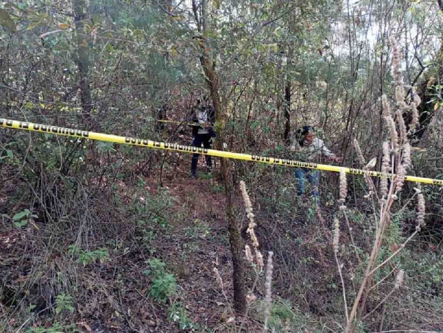 La Comisión de Búsqueda encontró los restos en el paraje.