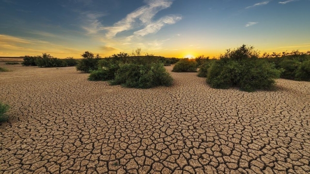 Falta de lluvia: El 75% de México está en sequía