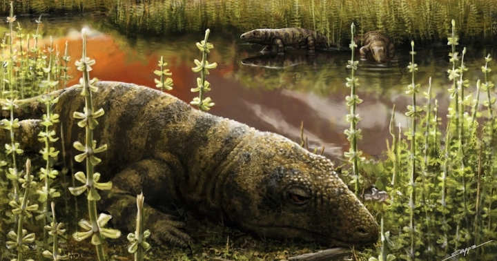 Describen una nueva especie de reptil fósil de más de 270 millones de años