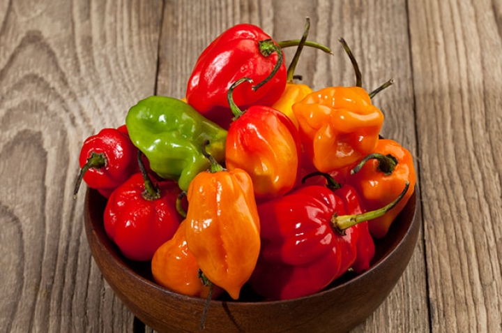 8 datos sobre el chile habanero que te dejarán impresionado