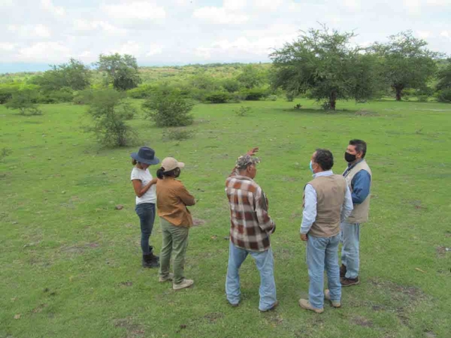 El vecino dijo que ya solicitaron la intervención de las autoridades estatales para disipar toda duda de que se puedan construir casas en las faldas del cerro de la Tortuga, prácticamente en los linderos con el área natural protegida. 