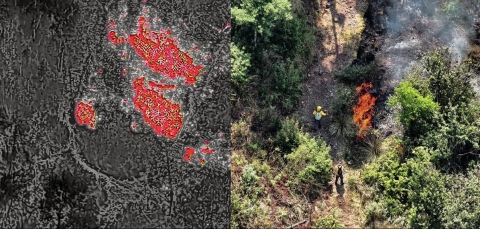 Se mantienen activos dos incendios forestales en Morelos: SDS