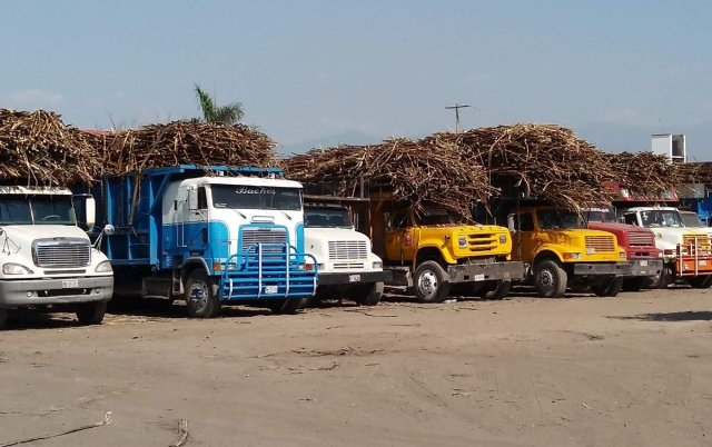 Más de 380 mil toneladas de caña de azúcar han sido moliendas en lo que va de la actual zafra.