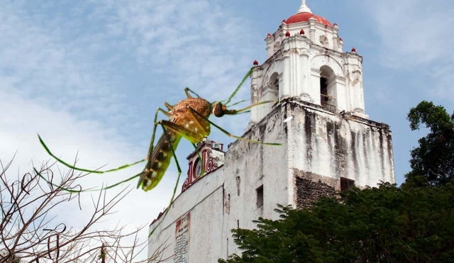 Vecinos de Valle de Vázquez, “desesperados” por aumento de dengue