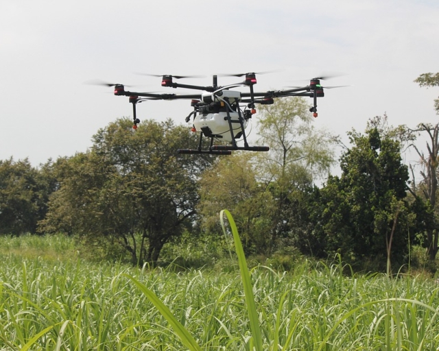 Con drones combatirán al mosquito del dengue en Bolivia