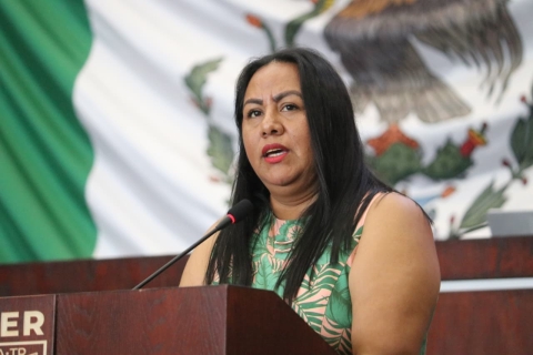 Respaldamos una justicia con rostro humano: diputada Jazm&iacute;n Solano L&oacute;pez