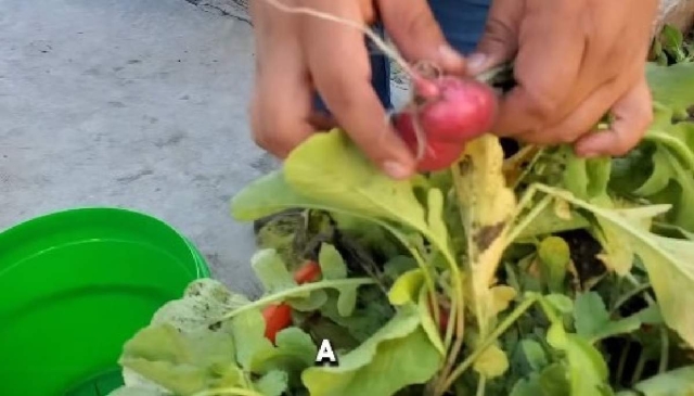 El programa se ha llevado a diferentes escuelas con la intenci&oacute;n de generar conciencia sobre el cuidado del medio ambiente.