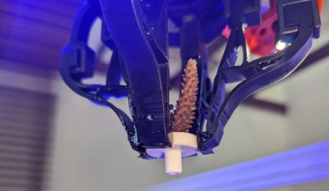 Los arrecifes de coral dañados reciben una mano (robótica) amiga