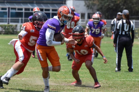 En la temporada, los Wildcats Cuernavaca se enfrentaron también a equipos como Osos de Toluca, Bengala de Naucalpan, Colts y a los Patos Salvajes de Cuautitlán Izcalli.