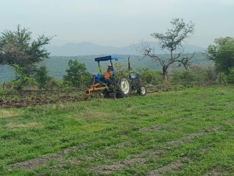 Capacitarán a productores de Mazatepec sobre fertilización en gramíneas