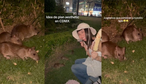 Jóvenes alimentan ratas en Bellas Artes, CDMX y generan controversia en redes