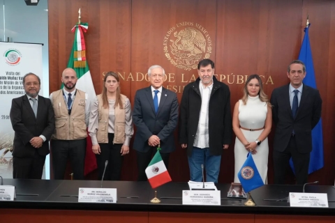 OEA garantiza observación imparcial y rigurosa en elección judicial en México