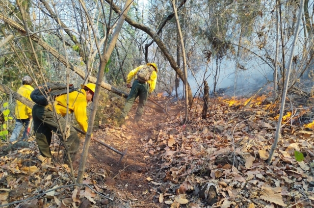 Prevalecen incendios forestales