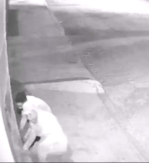 Momento en el que dos individuos intentan abrir el protón de una casa.