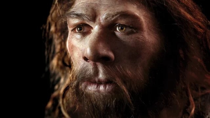 Estudio revela que el Homo sapiens llegó al noroeste de Europa hace 47,000 años