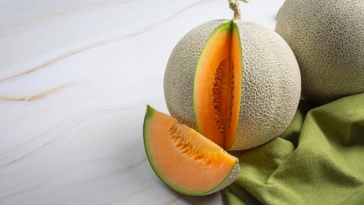 ¿Cómo cultivar melón en casa? Te explicamos paso a paso