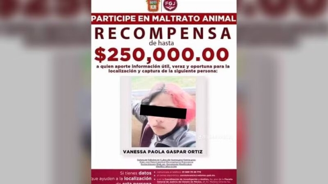 Justicia para Huellitas: Hay denuncia formal contra Vanessa ‘N’ en Puebla