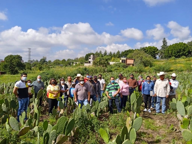 Producirá Cuernavaca nopal en cuatro ejidos