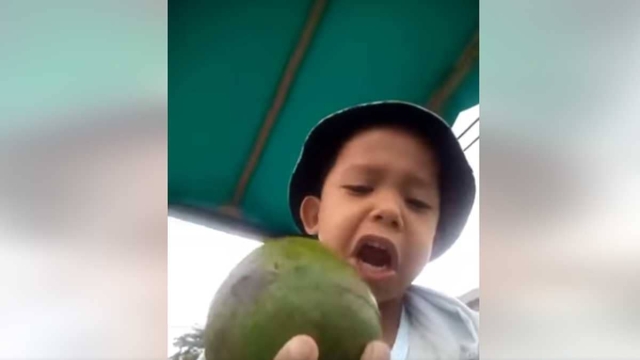 &quot;¡Aguacate sabroso, mantequilloso!&quot;