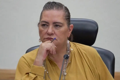 INE rechaza 38 mil solicitudes de observadores; mayoría son militantes de Morena