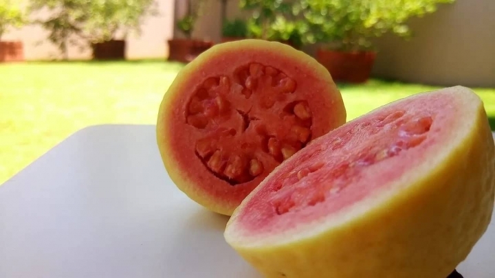 ¿Qué pasa si comes guayaba todos los días? Deberías comenzar desde ya