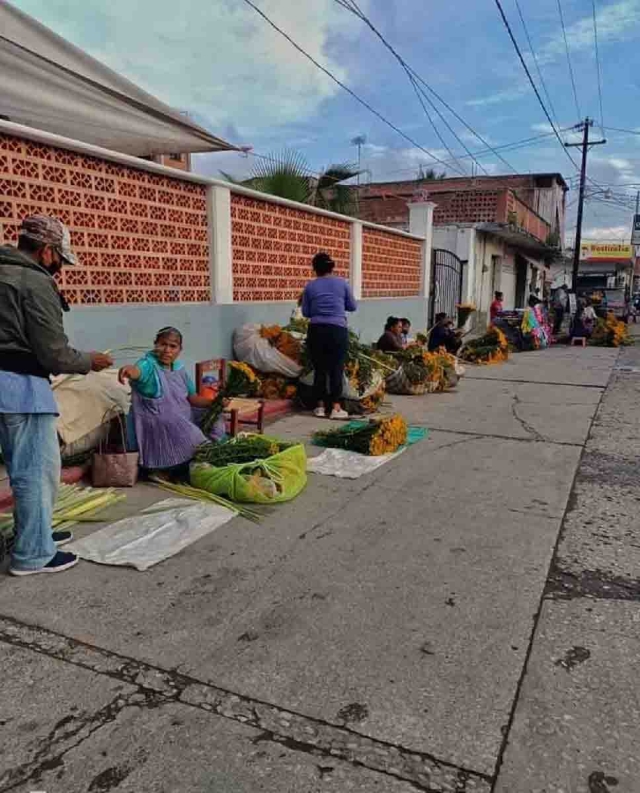 En estos días se lleva a cabo la venta de pericón.