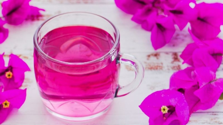 4 beneficios del té de bugambilia que debes conocer