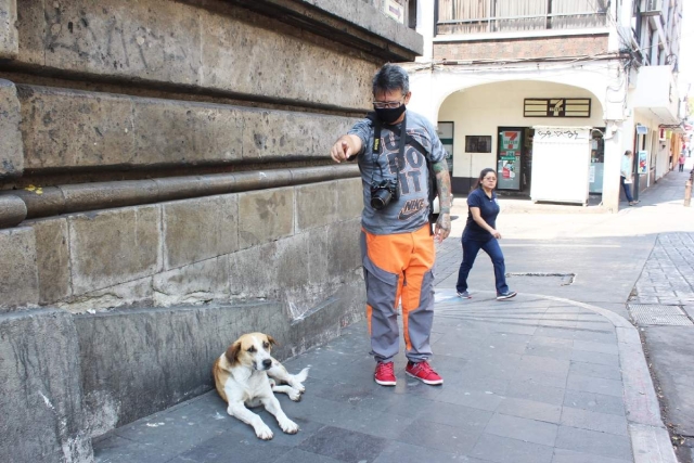 Chiquínquiro  El perro del Centro de Cuernavaca