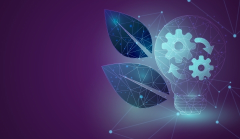 Tecnología inspirada en la naturaleza: hojas como modelo para dispositivos sostenibles y escalables