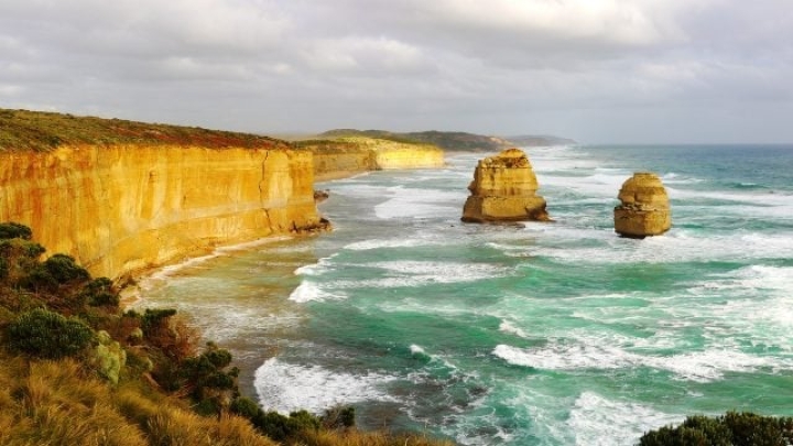 Catálogo de genes oceánicos revela secretos de la biodiversidad marina