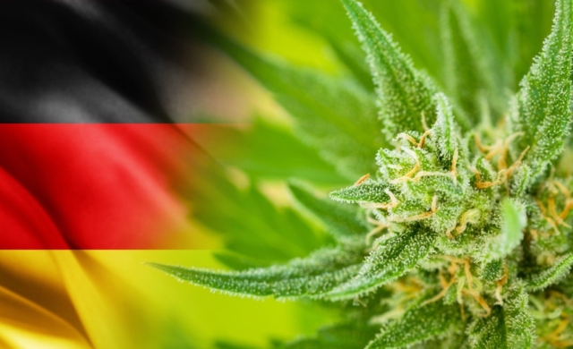 Gabinete alemán aprueba &#039;legalización controlada&#039; de marihuana