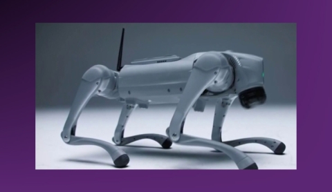 &#039;Luna&#039;, el perro robot que aprende y se adapta como un ser vivo gracias a la IA