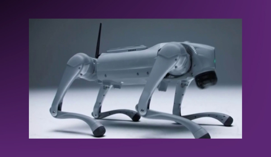 'Luna', el perro robot que aprende y se adapta como un ser vivo gracias a la IA