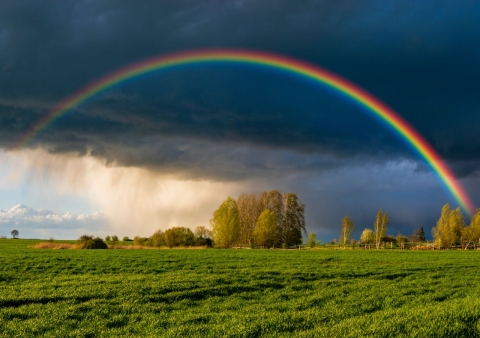 Día mundial del arcoíris: ciencia y magia en el cielo