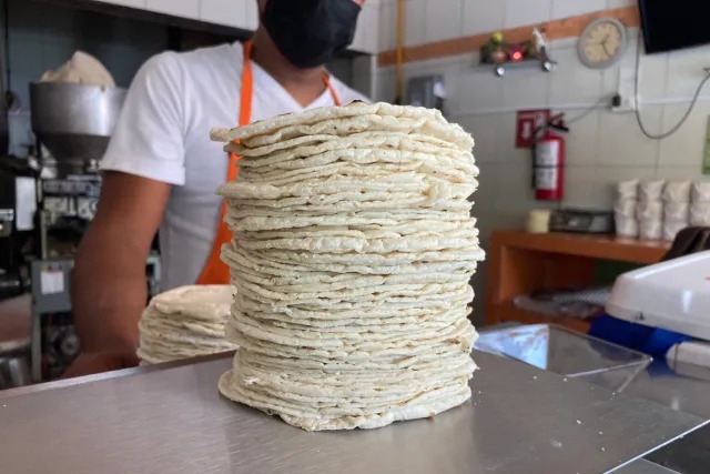 Precio de la tortilla podr&iacute;a subir hasta 4 pesos por kilo en M&eacute;xico
