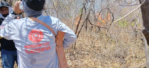 Voluntarios se han sumado para combatir el fuego que ya consumió varias hectáreas en el cerro del Gallo, en Tlaltizapán.  