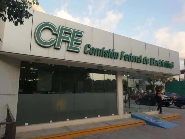 Responsabilizan a trabajadores de CFE de poda irregular en avenida Teopanzolco