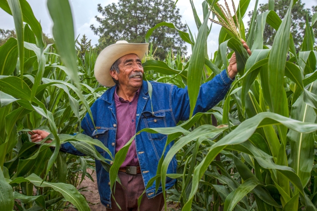 Comunders ayudará a agricultores de Yecapixtla