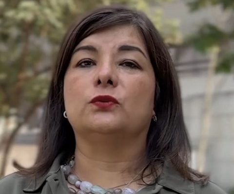 Asegura diputada Meggie Salgado que no se permitirá carpetazo en el caso Cuauhtémoc Blanco