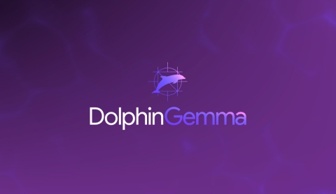Google lanza DolphinGemma, una IA para entender el lenguaje de los delfines
