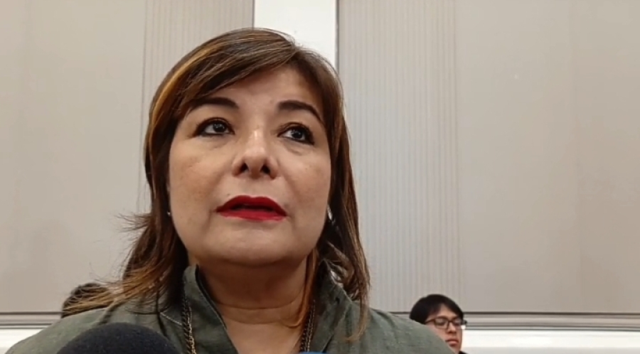 Municipios enfrentan situación complicada por la falta de recursos, admite diputada federal Meggie Salgado
