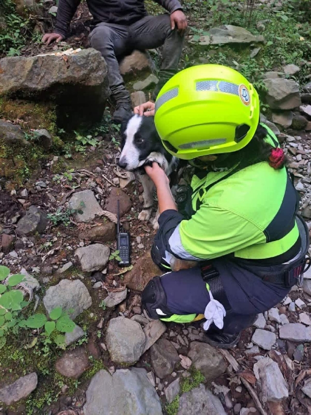 El perro que acompa&ntilde;aba al alpinista fue encontrado en la zona del hallazgo.