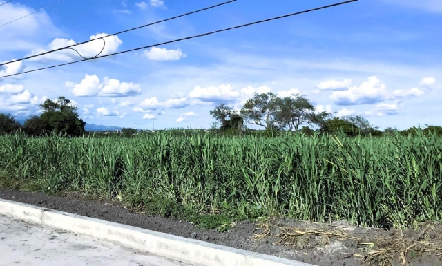 La escasez de agua volverá a pegar al campo morelense este año.