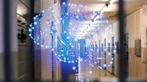 INTELIGENCIA PENITENCIARIA