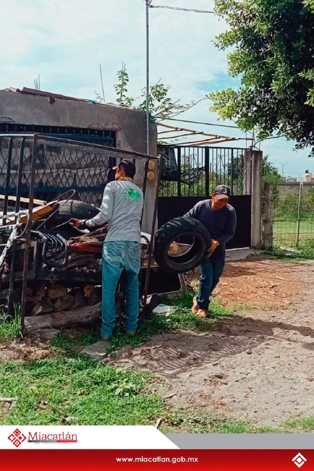 Pretenden eliminar los criaderos.