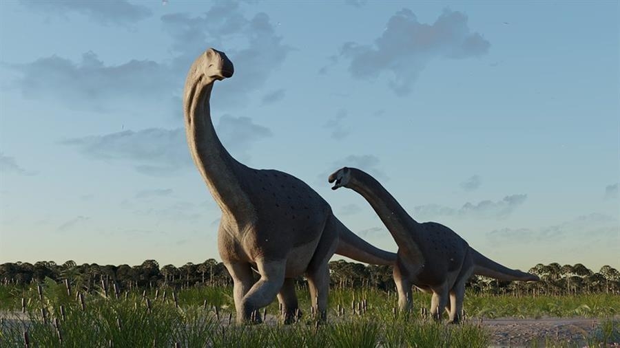 Paleontólogos descubren nueva especie de titanosaurio en la Patagonia