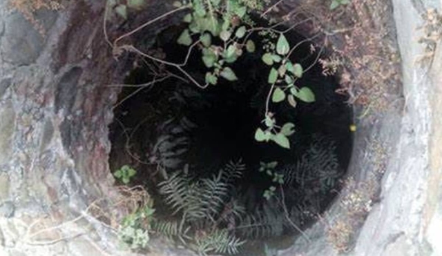 Hallan un cadáver en la colonia Bosques de Santa Catarina