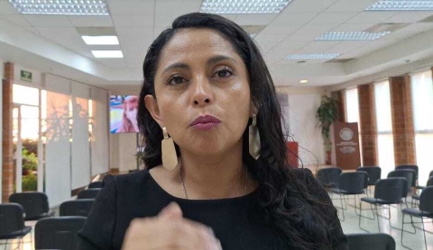 Organizaciones realizar&aacute;n marcha contra el feminicidio el 25 