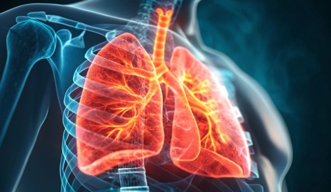 D&iacute;a Internacional de Lucha contra el C&aacute;ncer de Pulm&oacute;n